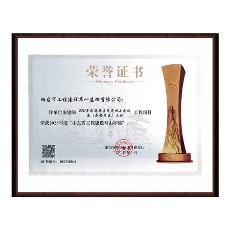 “2021年濱海路區(qū)片老舊小區(qū)改造（花都片區(qū)）”2023年山東省工程建設泰山杯獎